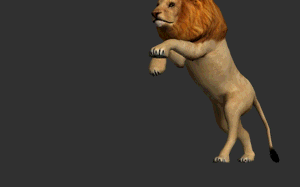Gif animé lion marche